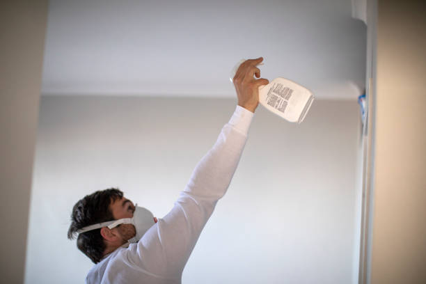 Attic Mold Removal in Myrtle Grove, FL